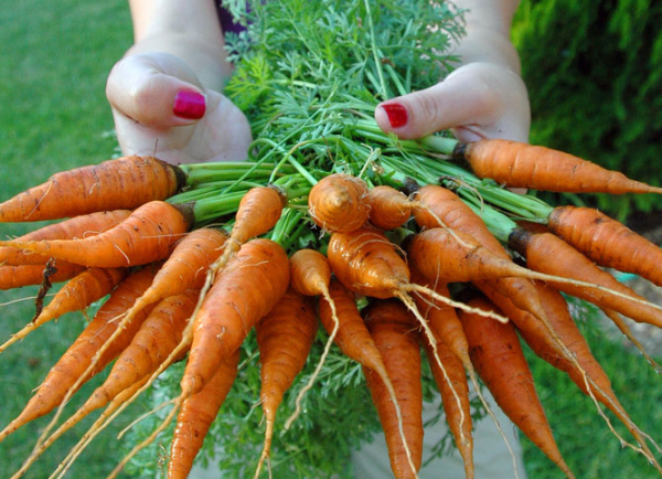 carrots vit A