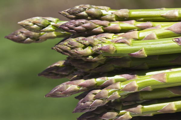 first asparagus