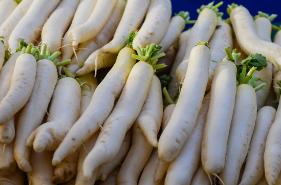 Daikon radish (Raphanus sativus var. longipinnatus)